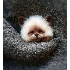 반려견양모펠트