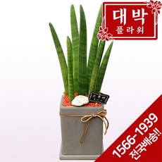 304bb3e572ab05a647c3a0659b6d4b5700fce657f8a6ce9db24727dc8ca7.jpg