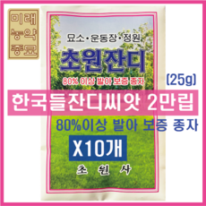 초원잔디 한국들잔디 2만립(25g)-묶음판매 80%이상 발아 보증 종자, 10개