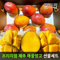 국산애플망고