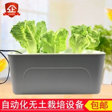 집에서 야채 키우기 실내 채소 수경 식물 재배기, 수경 탱크 + 물 펌프