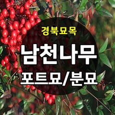 a2918c3fb0cc6af8da2e7e0550ca1944c8fc3efd8fc37e9b7d9f1cac94df.jpg