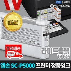 엡손p5000