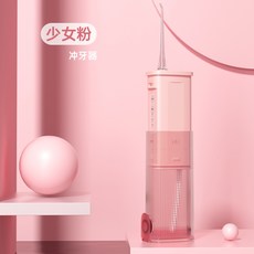워터픽wp-450k