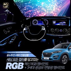 올뉴투싼엠비언트