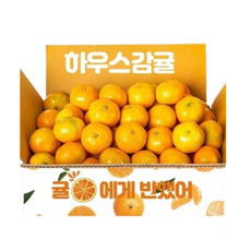 조은돌담황금향