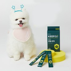 말썽쟁이여름 강아지 고양이 글루코사민 단백질 슬개골 면역력 영양제, 12g, 1개, 관절&면역, 뼈/관절강화