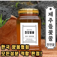 최강몰 국산 토종 사양벌 통벌집 제주도 벌집 꿀 1kg 2.4kg, 1개