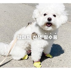 일회용 견슈즈 산책 필수템 미끄럼방지 통기 땀흡수 통풍 간편함 편안함, 1개, 중형