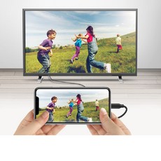 COSY 라이트닝 HDMI 미러링 케이블 2m 스마트폰 아이폰 아이패드 TV 티비 연결, 1개, 블랙