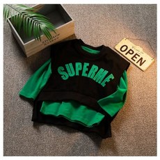 프레쉬다이노소어