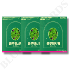 추천2 글루앤시카