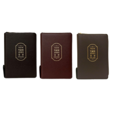 성경(국판2단금장색인무지퍼)(250090)