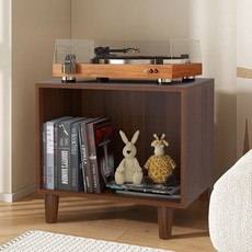 LP장 LP수납장 레코드장식장 스탠드 LP 장식장 엘피장 쇼케이스 500X400X815, 로커 호두색