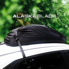 캐리어레인커버