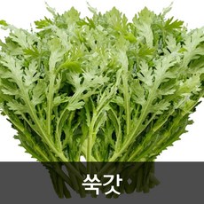 약수농장 쑥갓 4kg, 1박스
