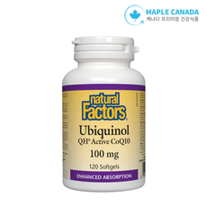 유비퀴놀 코엔자임Q10 100mg x 120정, 1개