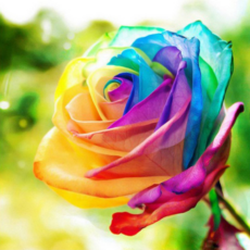 6c674ab811b69139916149cc4c66bb6dfec34bec9df4ae4c36526d0b382b.png