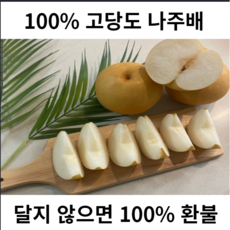 [산지직송] 100% 고당도 언니네 나주배 과일박스