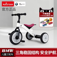 bmw자전거유모차