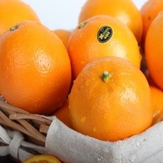 [쇼핑엔티] [블랙라벨! 고당도! 대과!]Mpark 미국산 캘리포니아 실속 오렌지 10kg