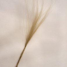 f0114db38eb9358be954ec3ec69c04ab44b3773fd7d4a208b6965f0fabc3.jpg