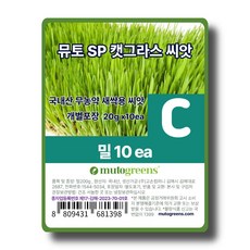 뮤토 SP 캣그라스 국내산 무농약 새싹용 씨앗, 10개, 20g, C 밀