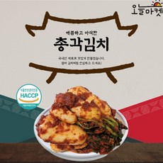 오늘마켓 아리랑 총각 포기 김치세트 상품 반찬용, 국내산포기5kg+총각2kg+깍두기2kg, 1개, 9kg