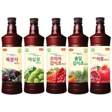 광야식품 오미자 감식초 베이스 970ml 생기석류 솔잎 매실청
