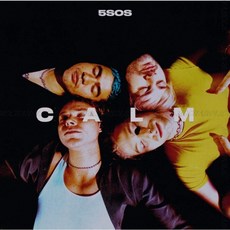 [LP] 캄 CALM- 5 Seconds Of Summer 5sos 엘피 바이닐