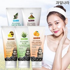 과일나라 제주 자연의 클렌징폼 5개, 선택/04.화산재5개