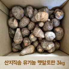 [국내산] 곡성토란 유기농 햇알토란 3kg 5kg 친환경 알토란 토란국수 토란국 토란무침