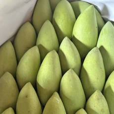 항공직수입 태국 그린 망고, 1박스, 5kg