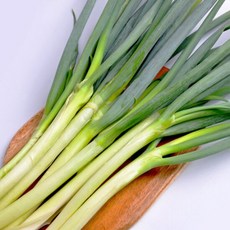 [농협] 국내산 신선 대파 2kg, 1개