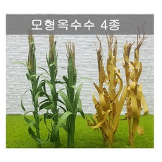 옥수수모형
