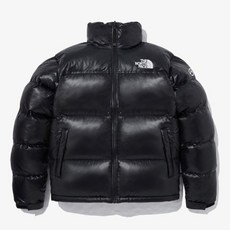 [매장정품] 노스페이스 THE NORTH FACE NJ1DP58A 남성 퀀텀 눕시 자켓 562172