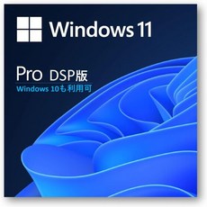 Windows 11 10 DSP 판 Pro, Proライセンス