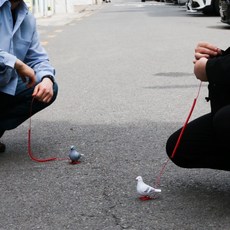 반려 비둘기 애완 인형 홈세트 (비둘기 인형 + 산책줄 + 둥지) 2 color [움직이는 쓸데없는 쓸모없는 웃긴 선물 장난감 킹받는 친구 필요없는 무쓸모 태엽], 그레이 홈세트