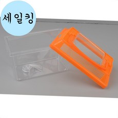 곤충 채집 잡기 장수풍뎅이 사슴벌레 보관 케이스 투명 소형 곤충채집통, 1개