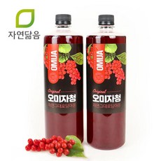 자연닮음 문경 오미자청 원액 엑기스 1L 2병 자일로스 청, 2개입, 1개, 자일로스 오미자청 2L