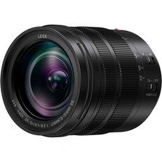 Panasonic 파나소닉 LUMIX 전문가 12 60mm 카메라 렌즈 RYKA DG Vario ELMARIT F2.8 4.0 ASPH 파워 O.I.S 듀얼 I.S 2.0 미러리스