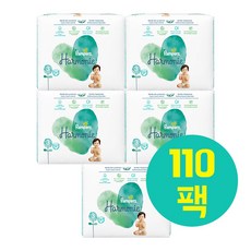 팸퍼스3단계밴드