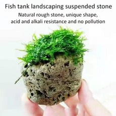 어항용 이끼 매달린 돌 어항 장식 수생 식물 조경 로프 천연, 1.Moss, A.3-5cm, 1개