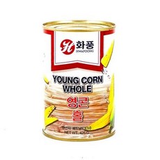 영콘