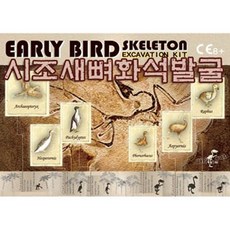 [624창고]시조새뼈화석발굴 (EBS) 발굴장난감 화석발굴 공룡발굴장난감 바다생물화석발굴장난감 화석발굴장난감[포장훼손]+[반품불가][포장훼손]+[반품불가], ★옵션확인★옵션확인必5. 포로스하쿠스 [EBS5]