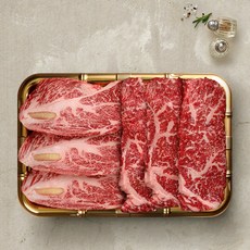 [투뿔한소] 1++ No9 최고급 한우 구이선물세트 2호(등심250g x 2팩+채끝250g x 2팩), 1개
