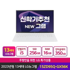 LG그램 15ZD95Q-GX56K i5/16GB/SSD 256GB/15인치 고성능 노트북, Free DOS, 16GB, 256GB, 코어i5, 화이트
