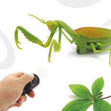 무선조종사마귀