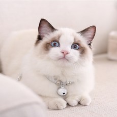 예보들 고양이 목걸이 방울, 핑크