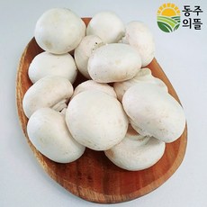 [농장직송] 보령 양송이버섯 포타벨라 선물세트 특품 파지 꼬다마, 양송이 버섯, 특품500g, 1개